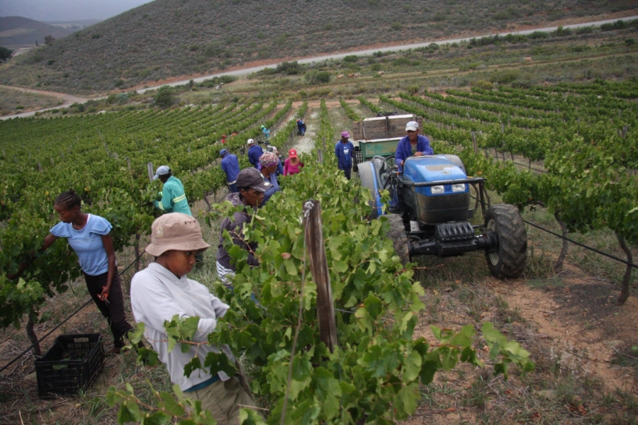 Commercial Property for Sale in Montagu Rural Western Cape